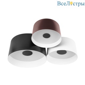 Потолочный светодиодный светильник Loft IT Duo 10360/3
