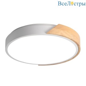 Потолочный светодиодный светильник Jazzway PPB Sсandic-R 5036956