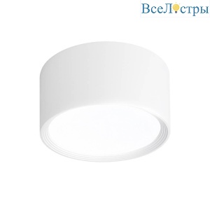 Потолочный светильник Escada 20005LED 20005SMU/03LED SWH