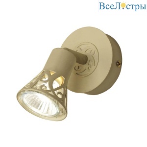 Спот Citilux Винон CL519515