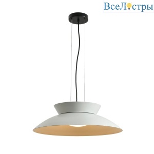 Подвесной светильник Favourite Salver 4842-1P