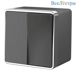 Выключатель двухклавишный влагозащищенный Werkel Gallant графит рифленый W5020204 4690389164255