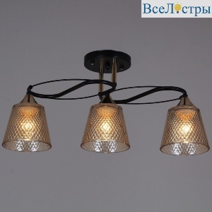 Потолочный светильник Reluce 06087-0.3-03 BK+FG