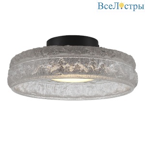 Потолочный светильник ST Luce Antike SL6143.402.01