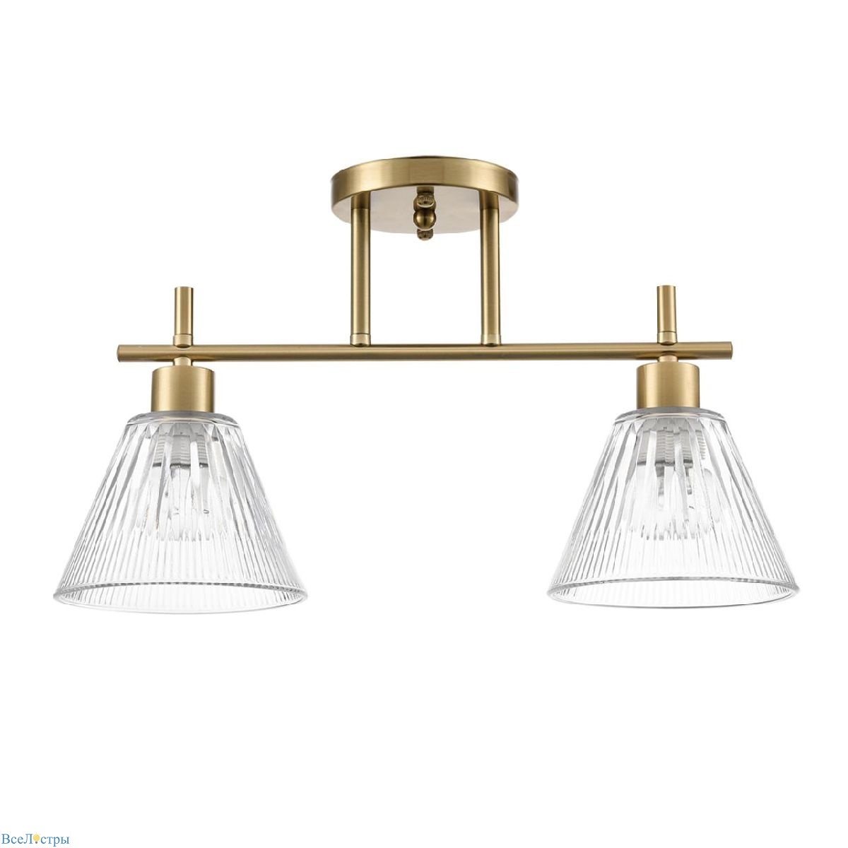 потолочный светильник lumion vivian 8188/2c