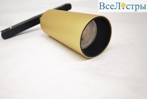 Трековый светильник Maytoni Technical Focus LED TR032-2-12W4K-S-MG