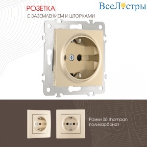 Розетка с заземлением и шторками Arte Milano 206.40-1.shampan