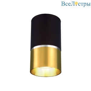 Потолочный светильник Elektrostandard DLN106 GU10 золото 4690389148590