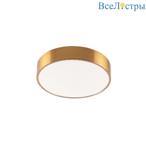 Потолочный светильник Zortes Tortty ZRS.02566.36