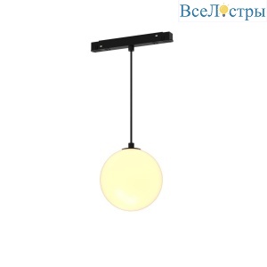 Трековый светодиодный светильник Maytoni Technical Luna TR039-2-5W3K