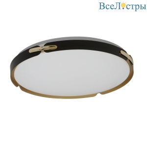 Потолочный светодиодный светильник Lumina Deco Paneli LDC 8063-48W BL