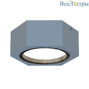 Уличный потолочный светильник Favourite Fantum 4666-1U