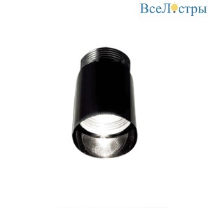 Потолочный светильник DOT PL Black Leucos