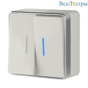 Выключатель двухклавишный с подсветкой Werkel Gallant слоновая кость W5020103 4690389164187