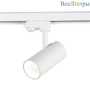 Трековый светодиодный светильник ST Luce ST661.546.20