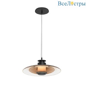 Подвесной светильник Aployt Stefa APL.648.16.10