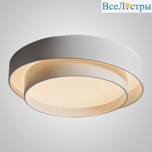 Потолочный cветильник ImperiumLoft Winton 241112-26