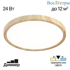 Потолочный светильник Citilux Бейсик CL738242V