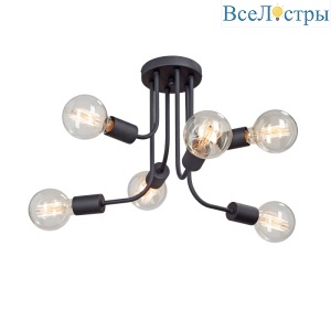 Потолочная люстра Vitaluce V4960-1/6PL