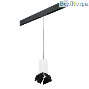 Трековый светильник Lightstar Rullo (216486+595887+202487) PRORP6486487
