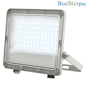 Прожектор Uniel ULF-F52D-50W/6500K IP65 200-240V GREY UL-00013057