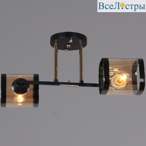 Потолочный светильник Reluce 09063-3.3-02 BK+FG