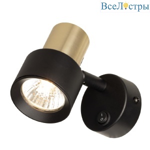 Спот Citilux Sat CL505611