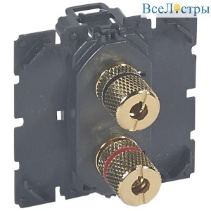 Розетка Banana Legrand Celiane 067312
