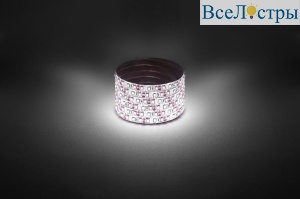Светодиодная лента Эра 12В 2835 9,6Вт/м 4000K 5м IP65 LS2835-9,6-120-12-4000K-IP65-1 year-5m Б0059902