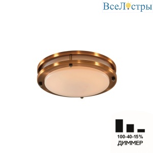 Настенно-потолочный светильник Citilux Бостон CL709203N