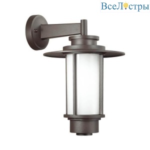 Уличный настенный светильник Odeon Light Nature Mito 4047/1W