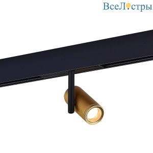 Трековый светодиодный светильник ST Luce Skyline 48 ST808.236.08