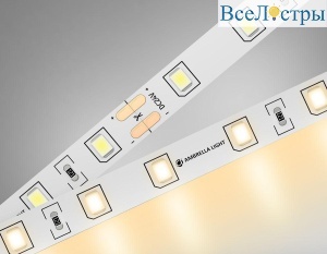 Светодиодная лента Ambrella Light 6W/m 60LED/m 2835SMD теплый белый 5M GS3001