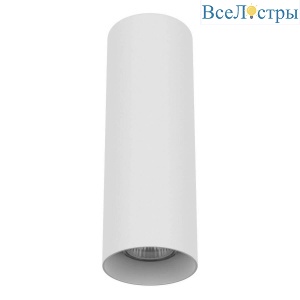 Накладной светильник Lightstar Rullo 216496