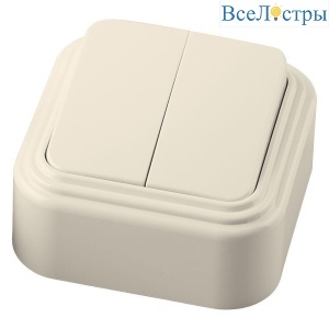 Выключатель двухклавишный Stekker Брест слоновая кость PSW06-22-20 49050