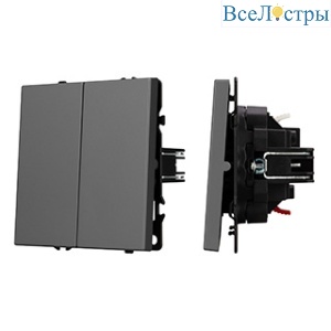 Механизм звонкового выключателя двухклавишный Arlight SWT-NOBE-MKR2-SFPL-GR (230V, 10A) (Серый базальт) 061740