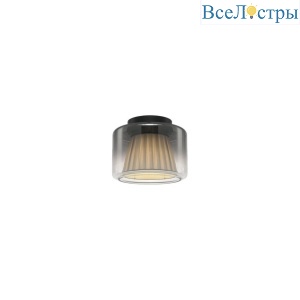 Потолочный светильник Aployt Zhyuli APL.089.17.08