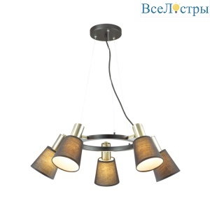 Подвесная люстра Lumion Marcus 3638/5
