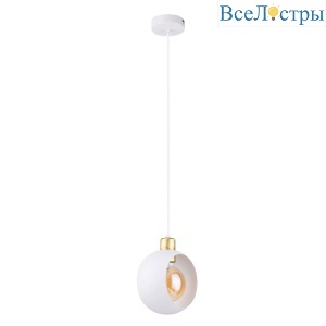 Подвесной светильник Modemodern MD.0614.1