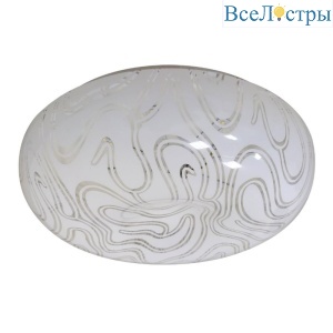 Потолочный светильник ЭРА SPB-6 - 12 Onyx Б0051077