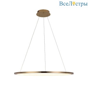 Подвесной светодиодный светильник Loft IT Ring 10014L