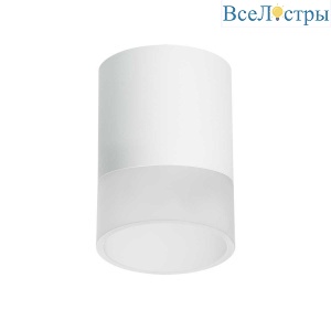 Потолочный светильник Lightstar Rullo (213486+202481) R348681