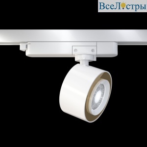 Трековый светильник Maytoni Treo TR023-1-12W3K