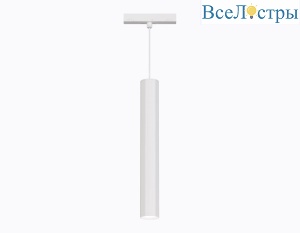Трековый магнитный светильник Ambrella Light Track System GL4520