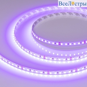Светодиодная лента Arlight RT-A120-8mm 24V Violet (9.6 W/m, IP20, 2835, 5m) 043384