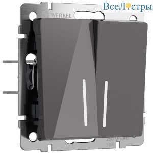 Выключатель двухклавишный с подсветкой Werkel 4690389197451 W1120144 a064087