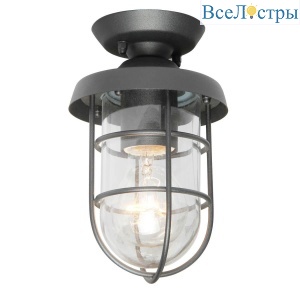 Уличный светильник Favourite Pointer 3021-1P