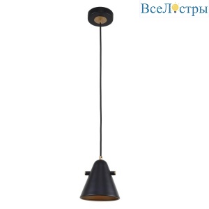 Подвесной светильник F-Promo Rigor 2844-1P