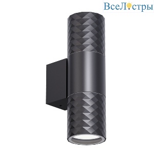 Уличный настенный светильник Favourite Bonum 4659-2W