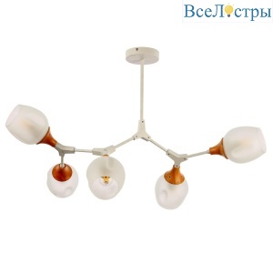 Потолочная люстра Evoluce Ciotolla SLE113502-05